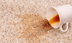 Removing stains from the carpet