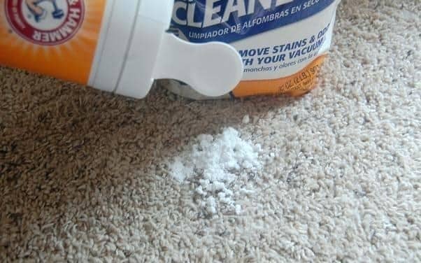 Dry powder carpet cleaning